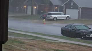 😂🌳 A Cone's Wild Adventure! | FunFM