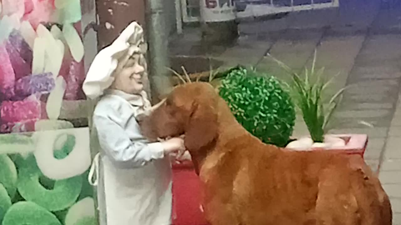 Dog Gets Pet by a Statue