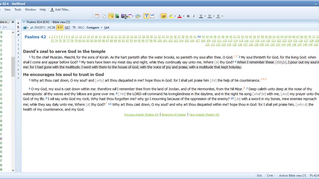 Bible Study Psalms 41 &42 Isaiah 55
