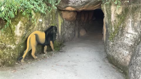 ENTERING THE LION‘S CAFÉ !
