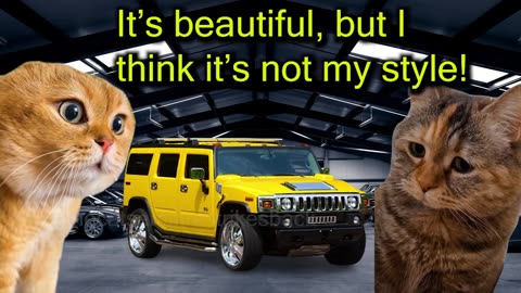 When Two Cats Buy a New Sports Car (Ep.97)