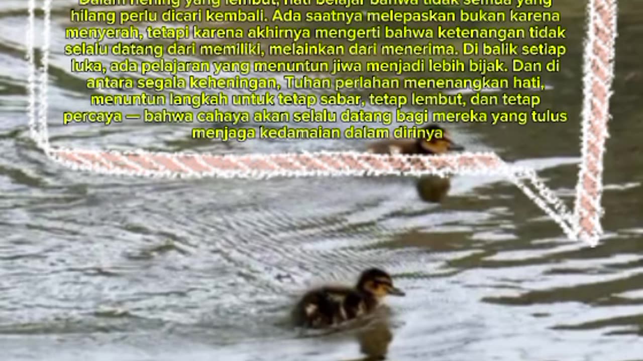 a word of heartfelt outpouring