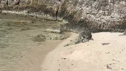 Organic footage| saltwater secret spot | hideaway