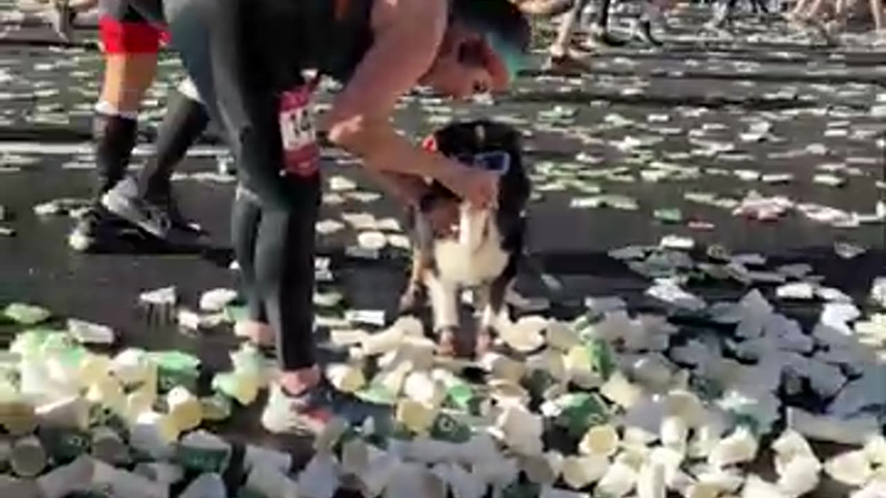 Dog Takes Part In Marathon