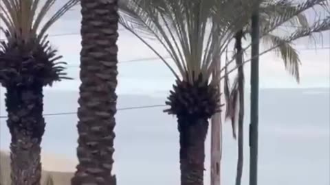 Os céus da Venezuela, da Venezuela são!