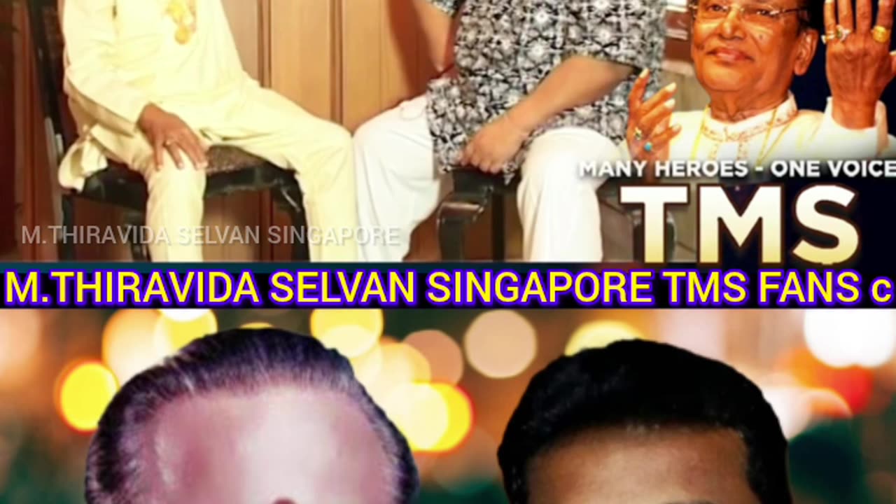 TMS LEGEND