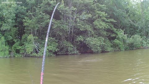 Kayak fishing bank vegetation, nice bass 2 of 2 - Fish on!