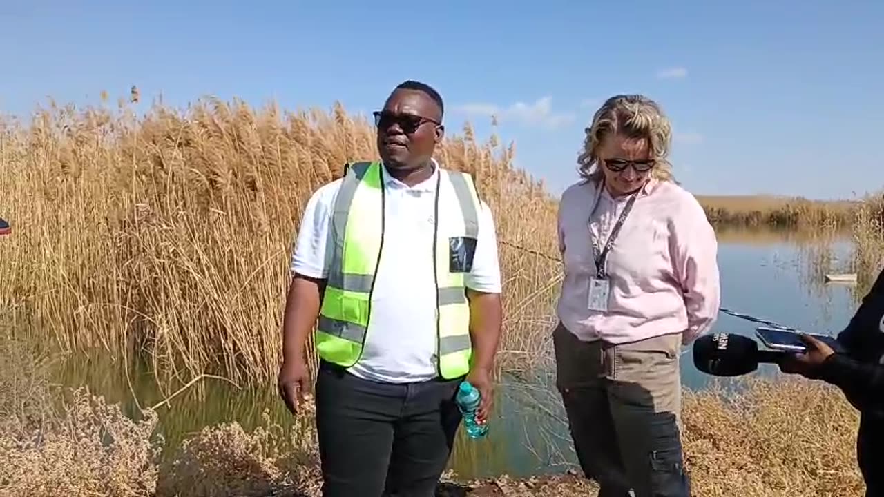 Kamfersdam