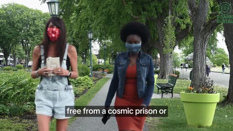 Are We Being Farmed for Energy?