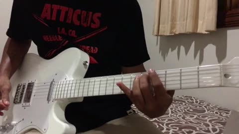 Blink 182 - Carousel (Guitar Cover)