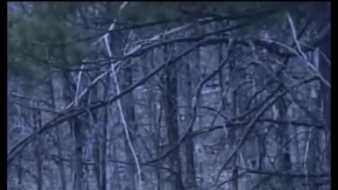 Scary Real Footage Found: The Paranormal Encounters That Will Haunt You