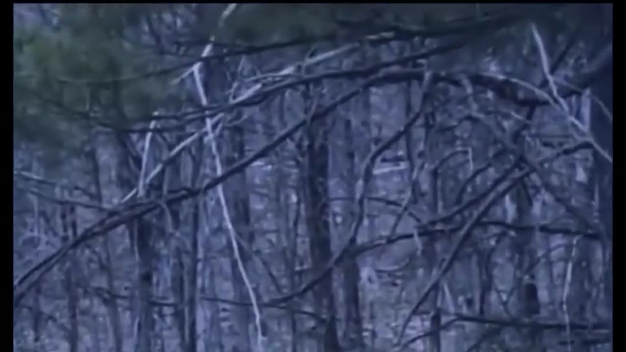 Scary Real Footage Found: The Paranormal Encounters That Will Haunt You