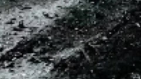 DERANGED HORRORS - VOL. 1,103: THE CRASH OF CSA FLIGHT 540