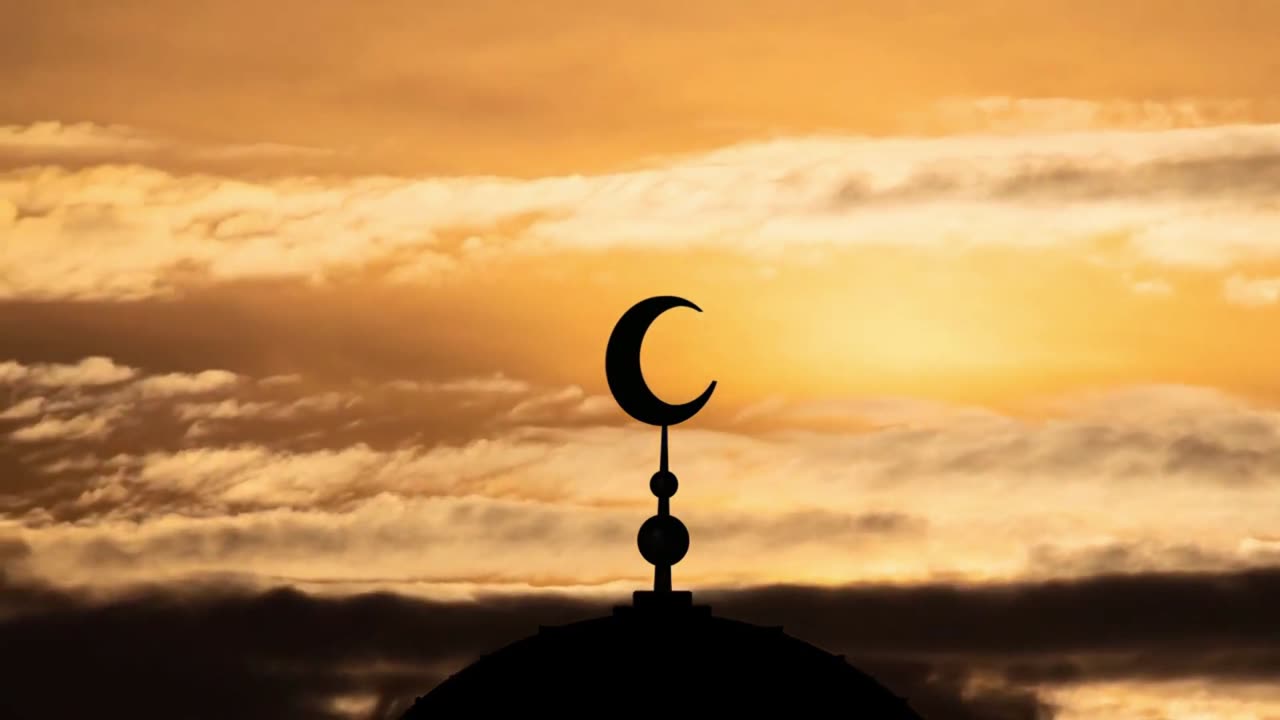Surah Hud | Verse 36-44 | Beautiful Quran Recitation