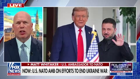 US Ambassador to NATO Matthew Whitaker