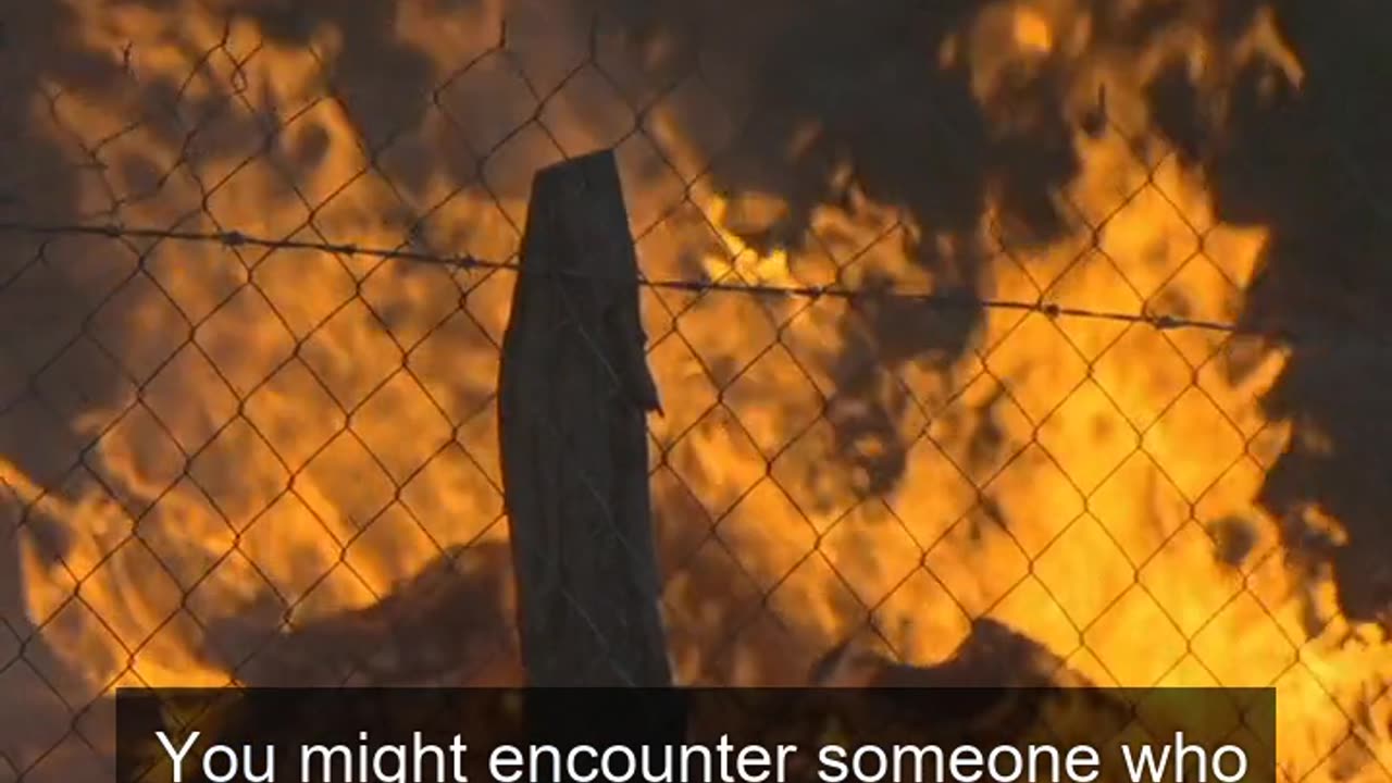 Daily Horoscope | Aries 🌟