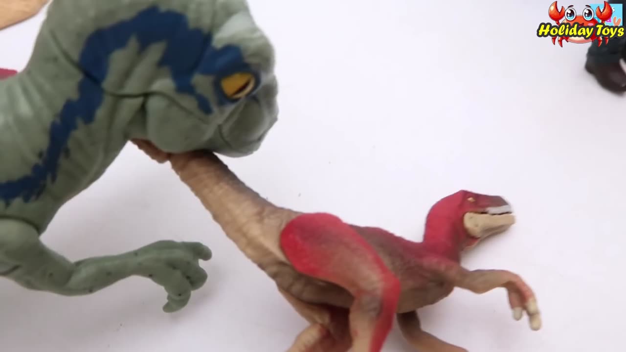 Vines and Leaves Cover Cave in the Black Rock Mountain