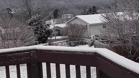 Snow ❄️🏔️❄️