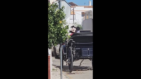😂🏍️ Unbelievable Ride Ends in the Most Unexpected Way! | FunFM