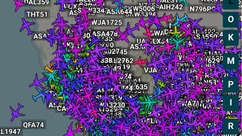 More Bird Nazi Watch data for Dec 10 2025 - no audio -