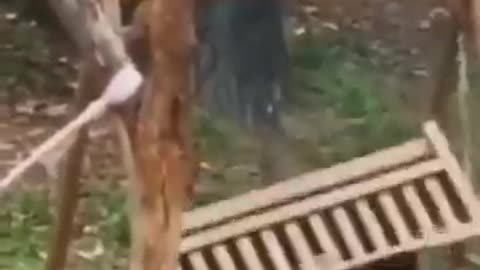 This Screaming Goat Just Made My Day! 😂🐐