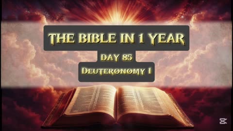 Day 85 of 365 (THE WHOLE BIBLE)