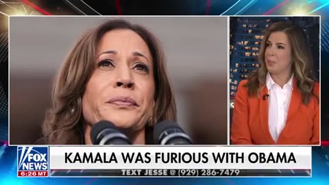 ‘Lost is an understatement’_ Democrats must accept they ‘gaslight’ Americans, co
