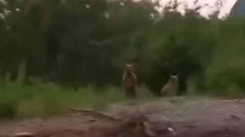 OMG How Fast They are