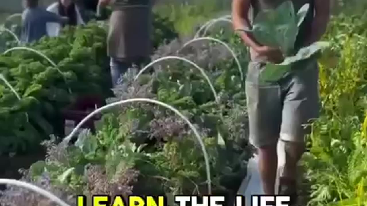 Live free