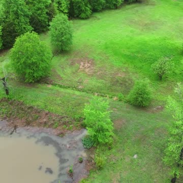 Quick flight to our big pond