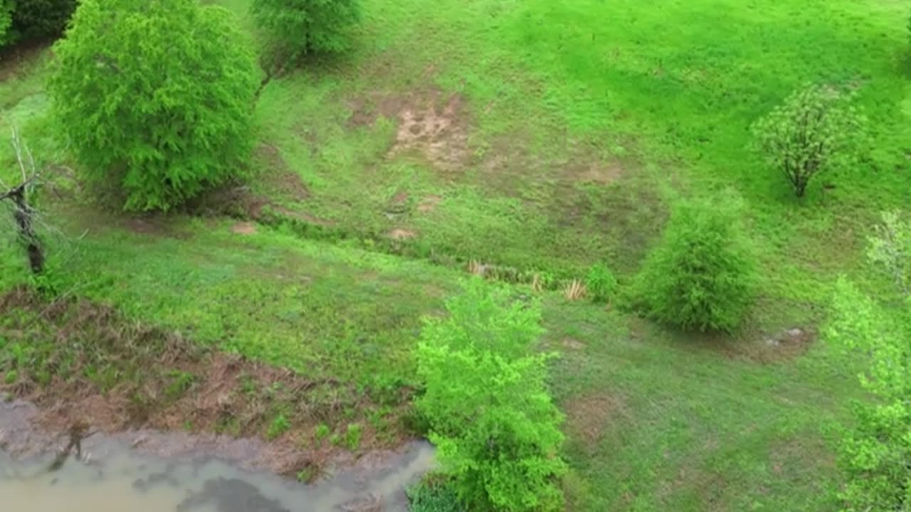 Quick flight to our big pond