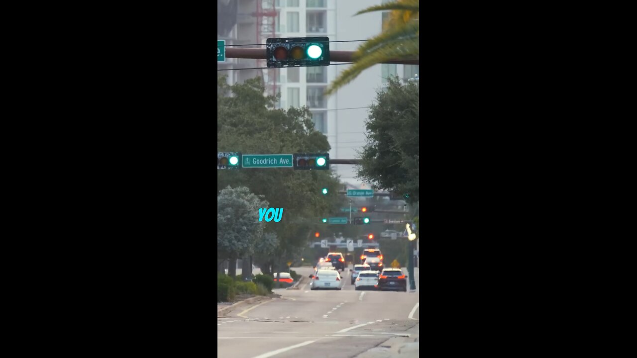 Top 5 Things to do in Tampa Florida 2025!
