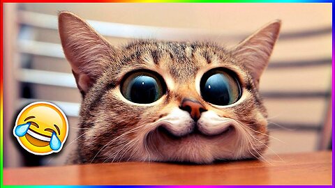 🤯😂 You Won’t Believe What These Animals Did!
