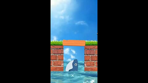 young boy along with friend animals vs lion and shark fish