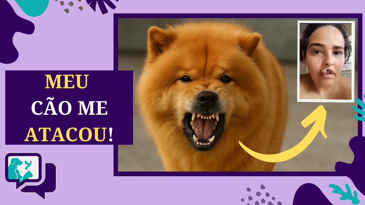 Chow Chow Ataca Tutora: O Que Podemos Aprender com Esse Caso?