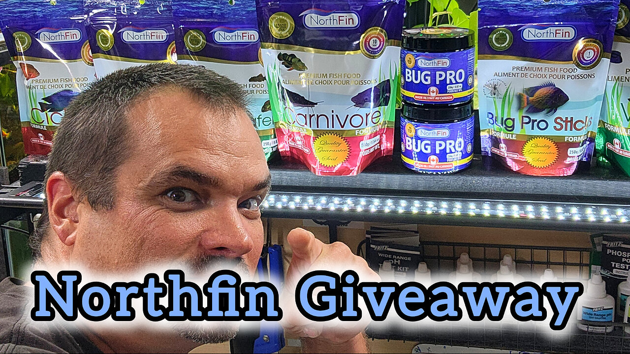 Northfin Giveaway!