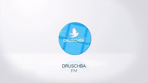 Wegen Kritik an Selenskyj? EU Sanktionen gegen ukrainische Journalistin Diana Pantschenko