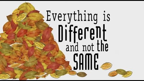 Charlie And Lola - Everything Is Different And Not The Same / 2007 Autumn Special