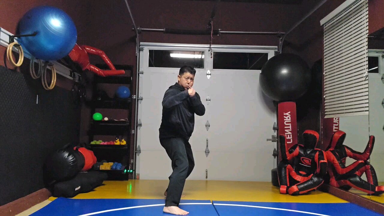 WTD 2 Step Kick Combination 73