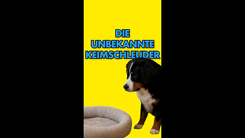 🐶Versteckter Auslöser von Allergie?!
