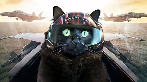 Topgun with a cat 🤣🤣🤣