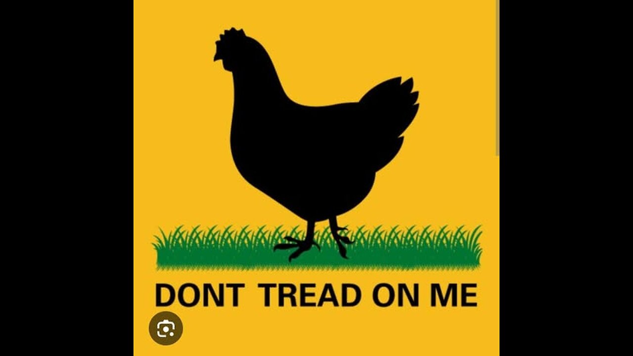 The legend of the "Chicken Wars"
