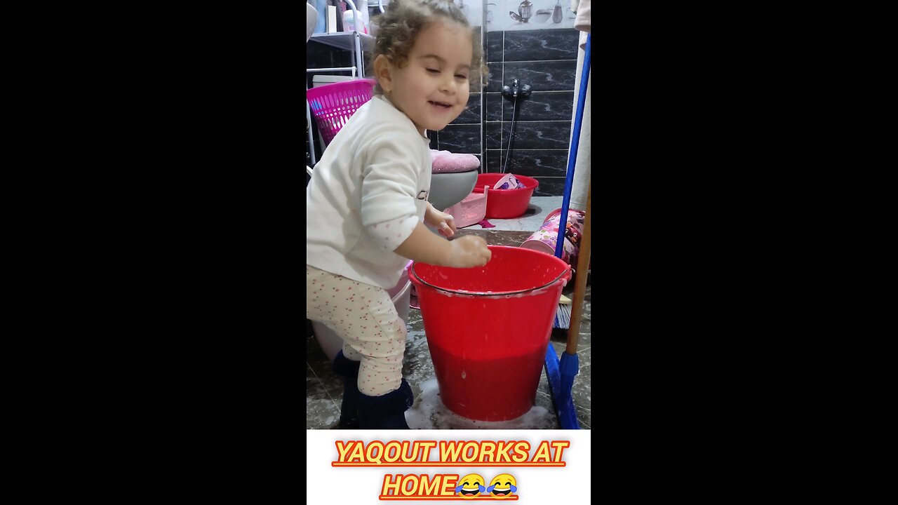Yaqout works at home😂😂❤️
