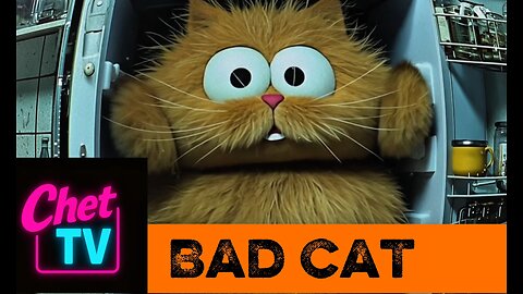 Bad Cat Music Video 2025