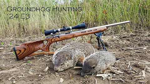 Groundhog Hunting '24 Episode 3