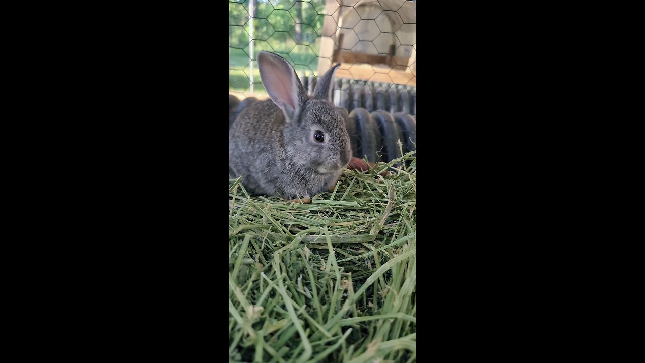 disfrutando de un bonito día