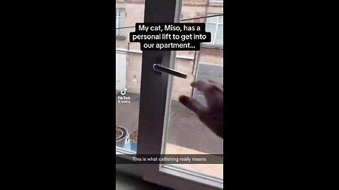 Personal Cat Lift