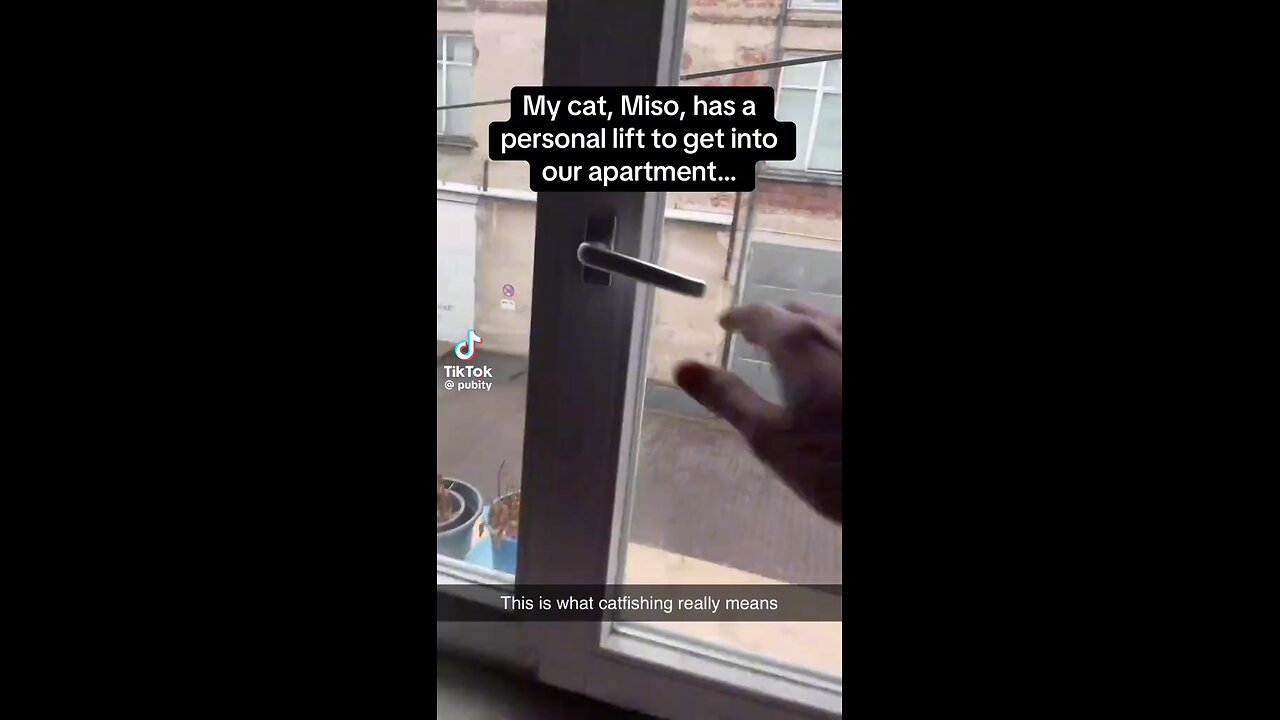 Personal Cat Lift