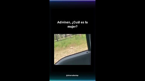 quien adivina?