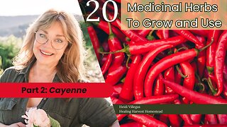 20 Medicinal Herbs to Grow & Use - Part 2: Cayenne